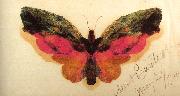 Albert Bierstadt Butterfly oil on canvas